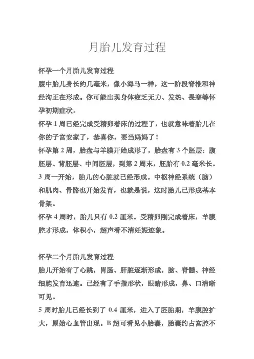 怀孕一个月胎儿发育过程图胎儿发育过程图解1