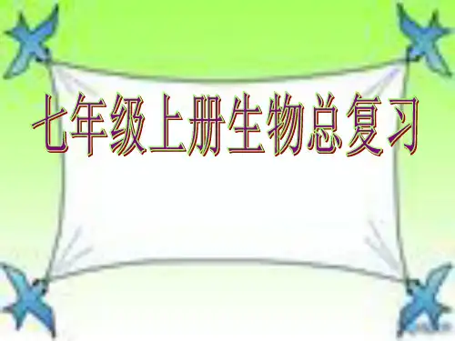 人教版七年级上册生物总复习PPT课件(共107张)