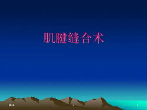 肌腱缝合术ppt课件