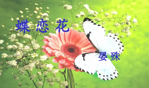 晏殊蝶恋花完整版