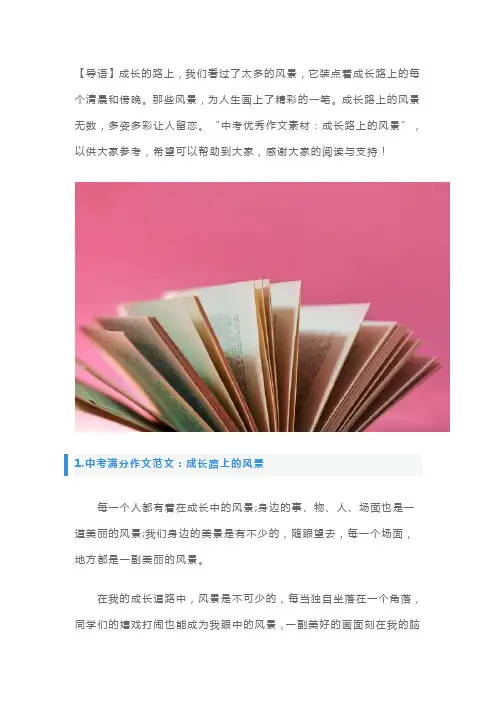 中考满分作文范文：成长路上的风景5篇