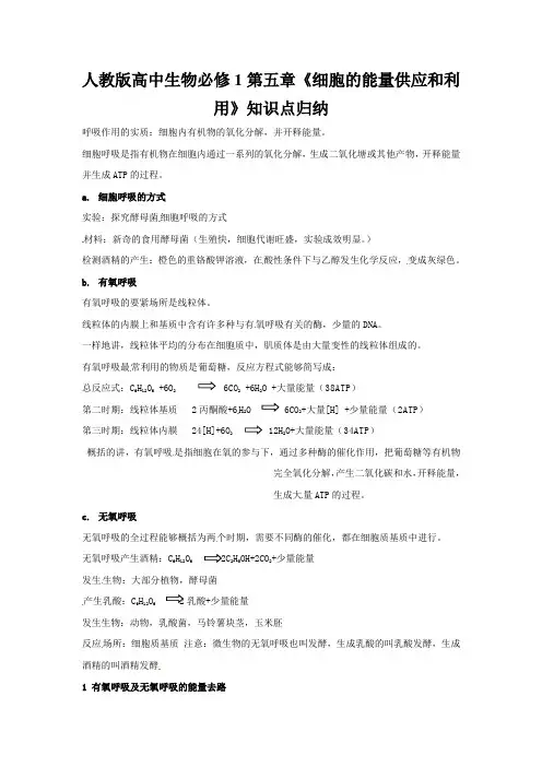 人教版高中生物必修1第五章《细胞的能量供应和利用》知识点归纳