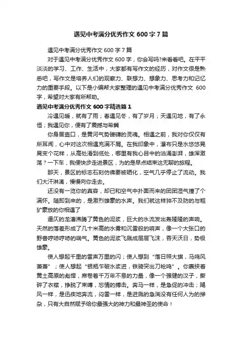 遇见中考满分优秀作文600字7篇