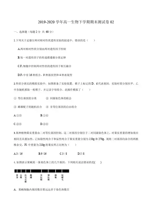 高中生物第二册 2019-2020学年高一生物下学期期末测试卷02(新教材必修二)(无答案)