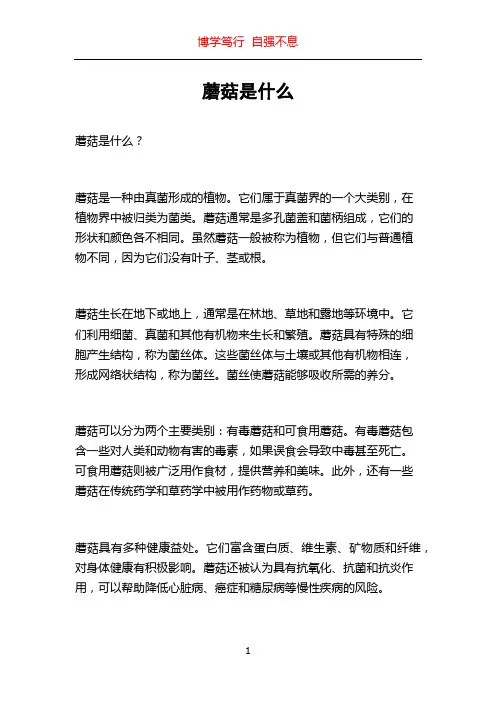 蘑菇是什么