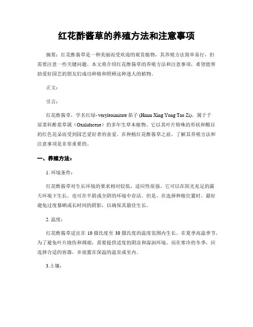 红花酢酱草的养殖方法和注意事项