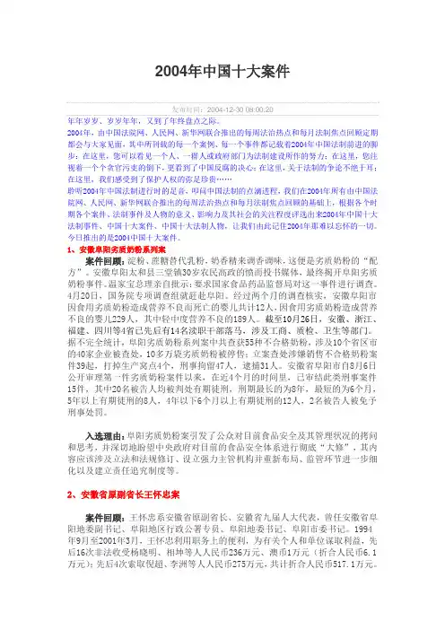 2004年中国十大案件