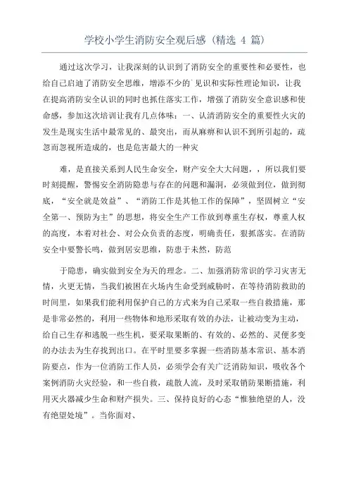 学校小学生消防安全观后感(精选4篇)