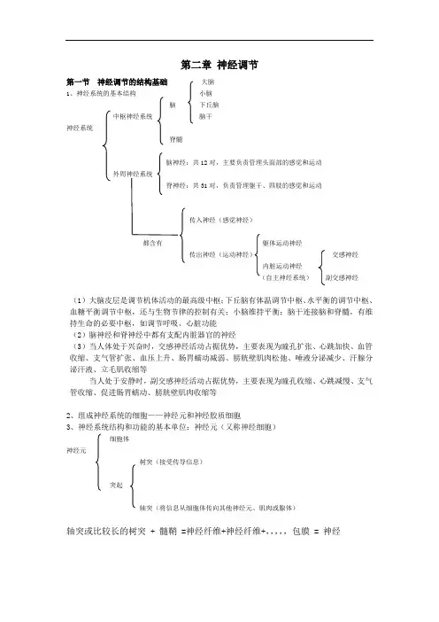 高中生物选择性必修一第二章神经调节