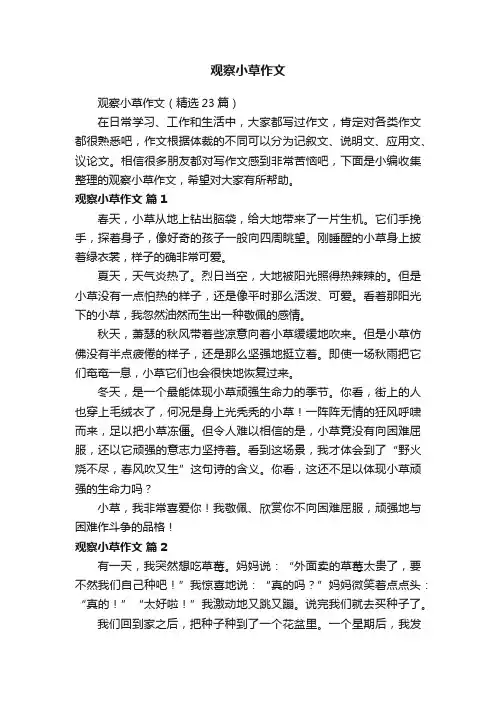 观察小草作文（精选23篇）