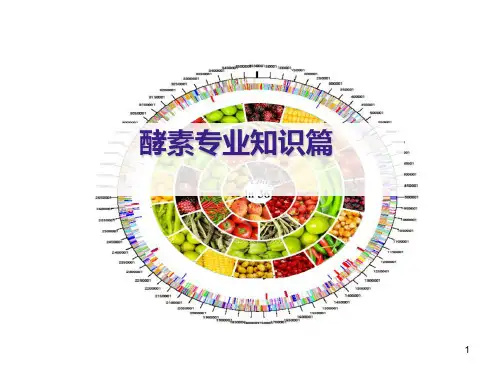 酵素产品讲解ppt课件