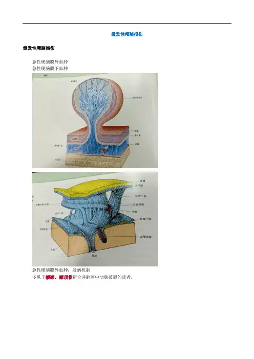 医学课件---继发性颅脑损伤
