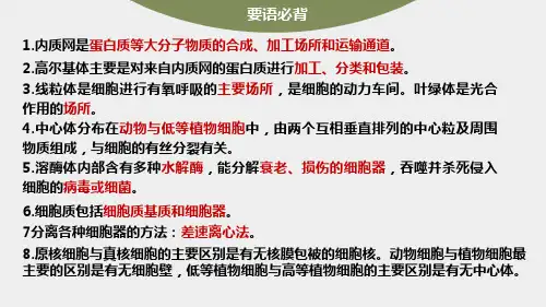 2023届高考生物一轮复习课件 细胞器之间的协调配合