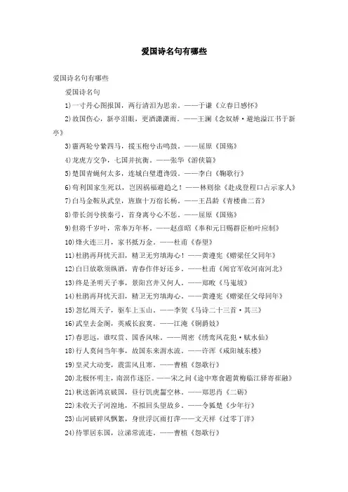 爱国诗名句有哪些