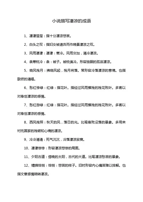 小说描写凄凉的成语