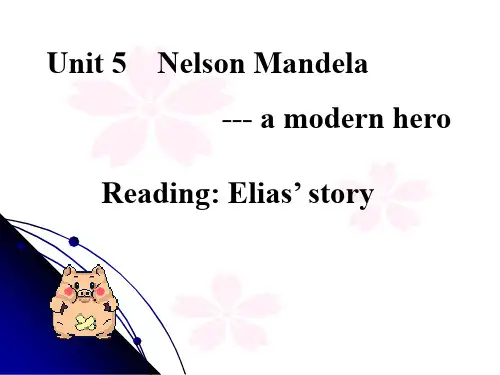人教版高中英语必修一Unit5 Nelson Mandela-a morden hero Reading 课件(共25张PPT)
