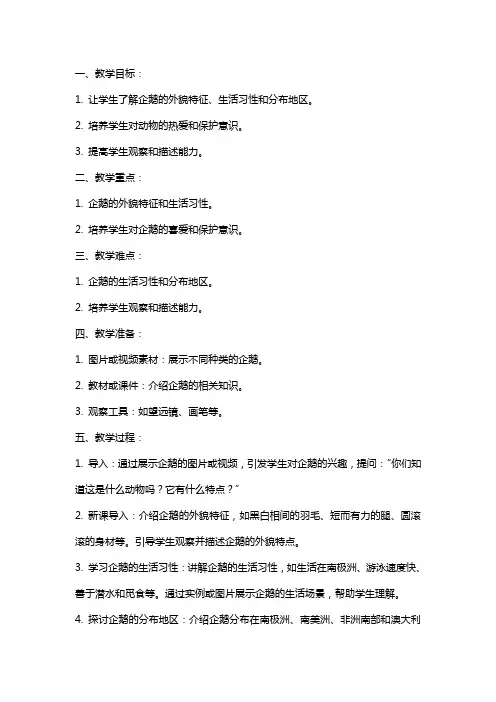 常识教案-可爱的企鹅