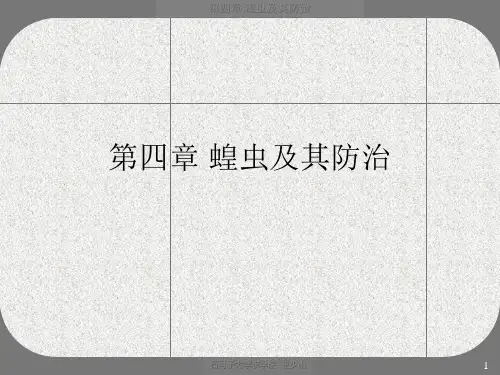 《蝗虫及其防治》PPT课件