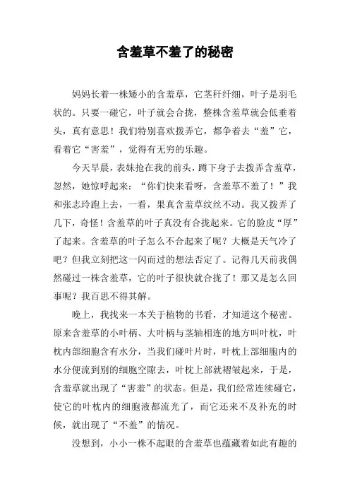 含羞草不羞了的秘密
