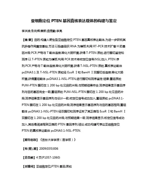 亚细胞定位PTEN基因真核表达载体的构建与鉴定