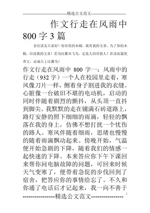 作文行走在风雨中800字3篇