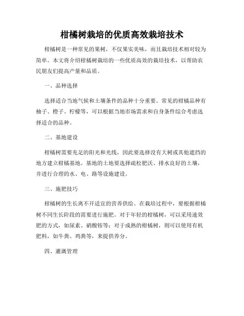 柑橘树栽培的优质高效栽培技术