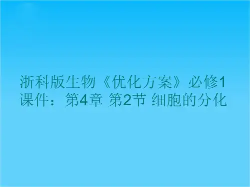 高一浙科版生物必修1课件第4章 第2节 细胞的分化