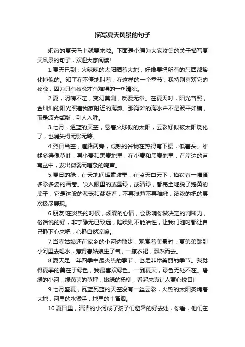 描写夏天风景的句子