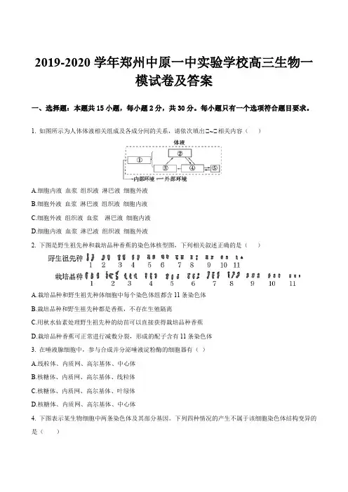 2019-2020学年郑州中原一中实验学校高三生物一模试卷及答案