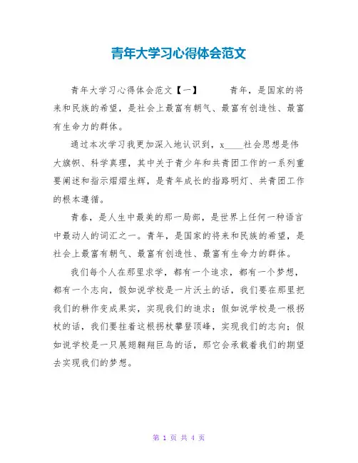 青年大学习心得体会范文