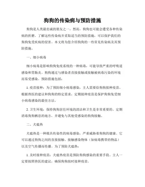 狗狗的传染病与预防措施