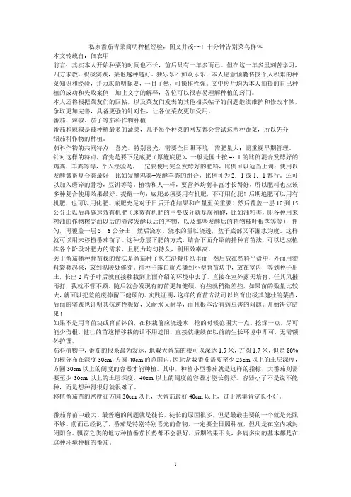 私家番茄青菜简明种植经验,图文并茂~~!十分钟告别菜鸟群体