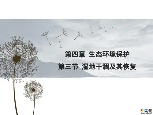 课件17：4.3 湿地干涸及其恢复