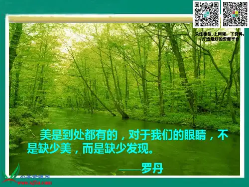 (北师大版)三年级语文上册课件 6.2 一只小鸟