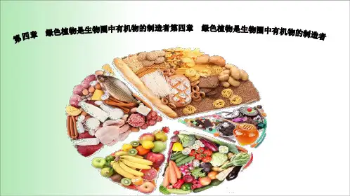 人教版七年级生物上册第三单元第四章   绿色植物是生物圈中有机物的制造者 课件