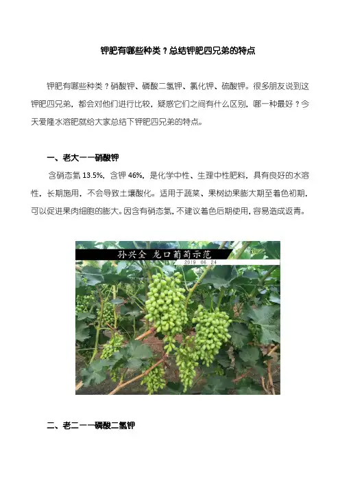 钾肥有哪些种类？总结钾肥四兄弟的特点