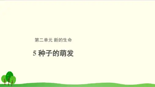 (教科版)科学课件《种子的萌发》教学课件1