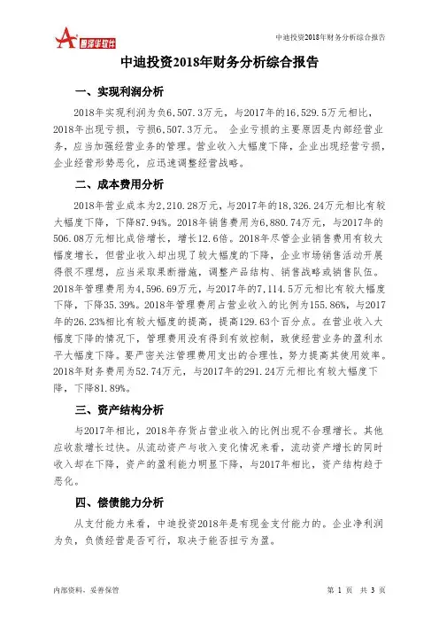 中迪投资2018年财务分析结论报告-智泽华