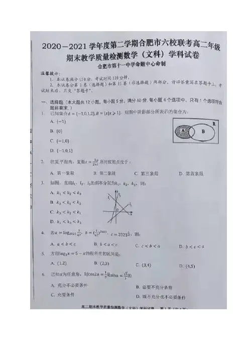 安徽省合肥市六校2020-2021学年高二下学期期末联考数学(文)试题(图片版)