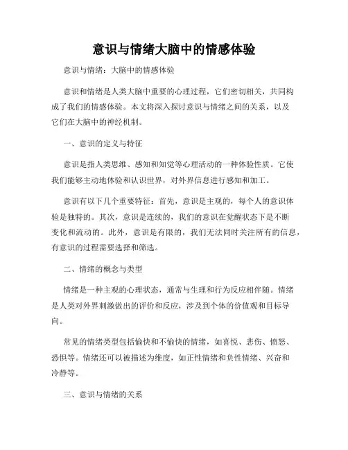 意识与情绪大脑中的情感体验