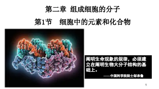 第2章组成细胞的分子课件(72张PPT)2023-2024学年高一上学期生物人教版必修1