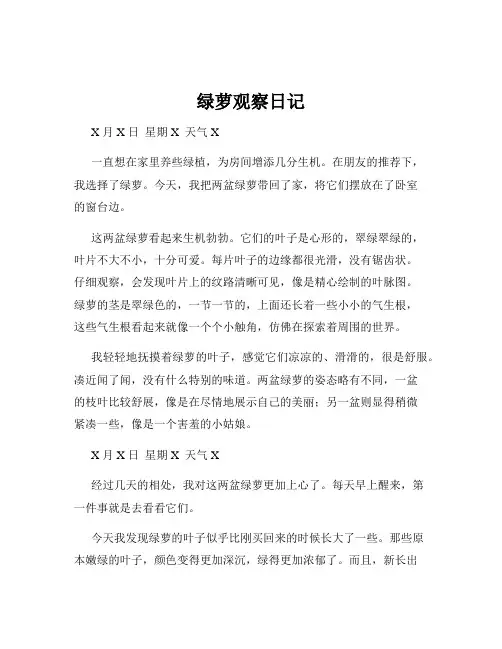 绿萝观察日记