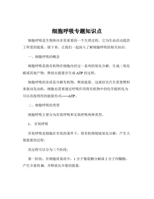 细胞呼吸专题知识点