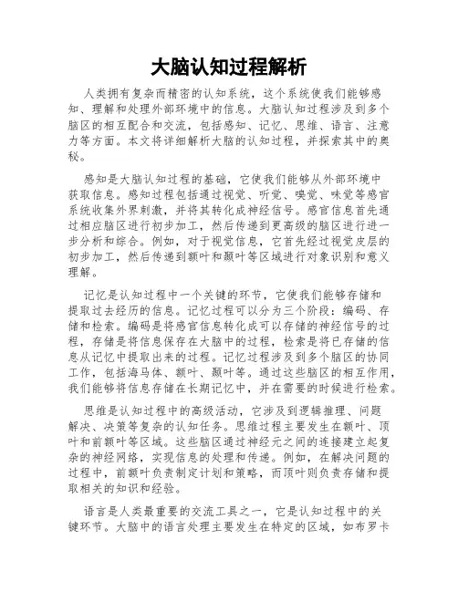 大脑认知过程解析