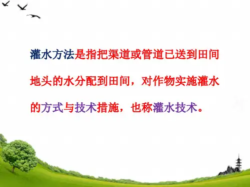 灌水方法概述PPT课件