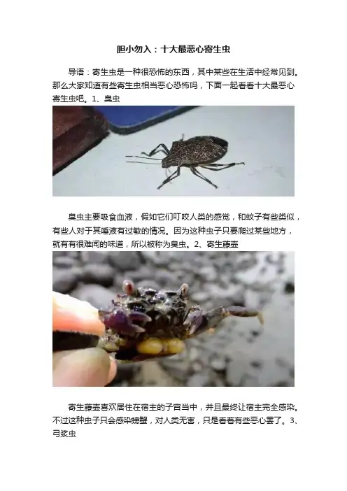 胆小勿入：十大最恶心寄生虫