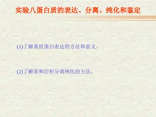 蛋白质的表达纯化