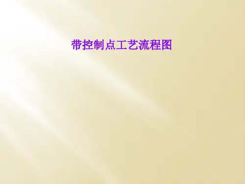 带控制点工艺流程图