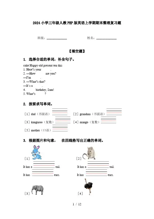 2024小学三年级人教PEP版英语上学期期末整理复习题