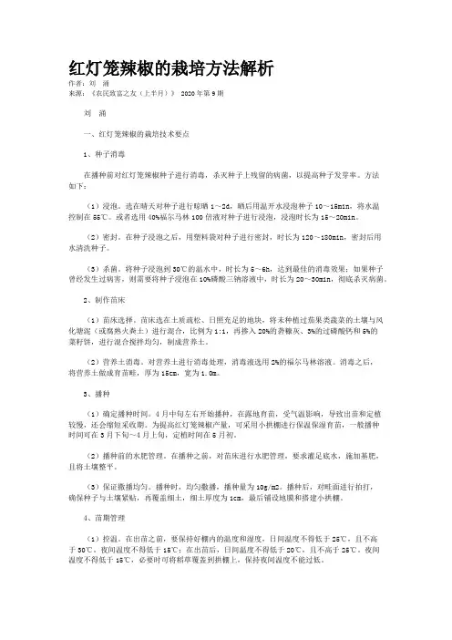 红灯笼辣椒的栽培方法解析